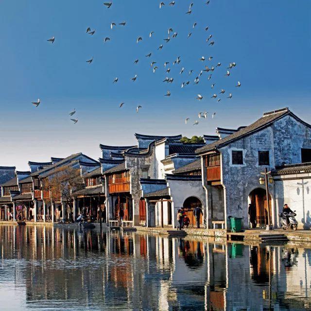 虫虫助手下载